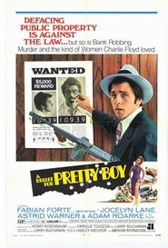 A Bullet for Pretty Boy is the best movie in Michael Haynes filmography.