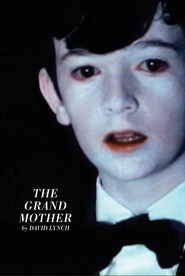 The Grandmother is the best movie in Dorothy McGinnis filmography.