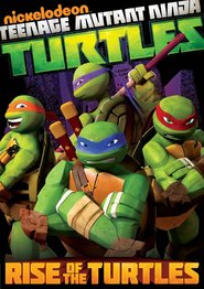 Teenage Mutant Ninja Turtles - movie with Kevin Michael Richardson.
