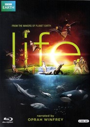 Life - movie with Doug Allen.