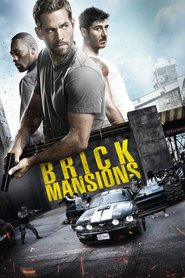 Brick Mansions - movie with Gouchy Boy.