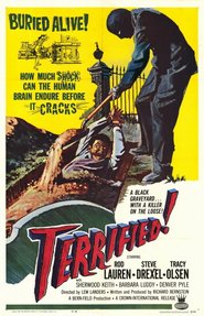 Terrified - movie with Denver Pyle.