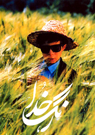Rang-e khoda is the best movie in Kamal Mirkarimi filmography.