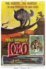 Film The Legend of Lobo.
