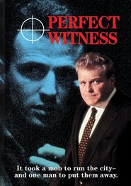 Perfect Witness - movie with Delroy Lindo.