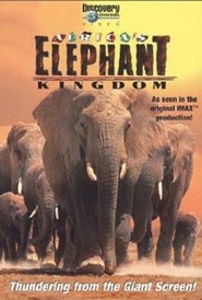 Film Africa's Elephant Kingdom.