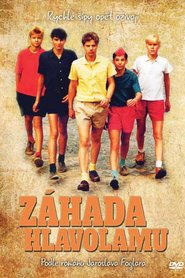 Zahada hlavolamu is the best movie in David Divis filmography.