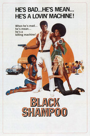 Black Shampoo is the best movie in William Bonner filmography.