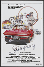 Stingray - movie with Christopher Mitchum.