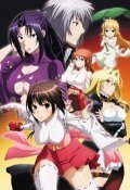 Sekirei: Pure engagement is the best movie in Aya Endo filmography.