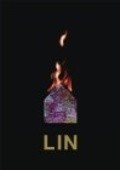 Lin is the best movie in Lin Klifton filmography.