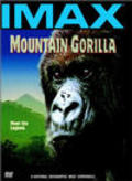 Mountain Gorilla - movie with Rebecca Jenkins.
