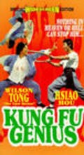 Tian cai gong fu - movie with Hong-Yip Cheng.