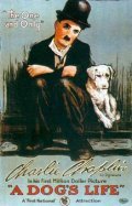 A Dog's Life film from Charles Chaplin filmography.