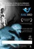 Rare Bird is the best movie in Britten Uest filmography.