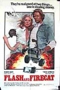 Flash and the Firecat - movie with Dub Taylor.