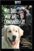 Why Dogs Smile & Chimpanzees Cry