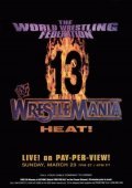 WrestleMania 13 - movie with Steve Austin.