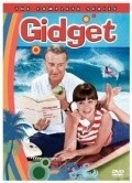 Gidget  (serial 1965-1966) - movie with Sally Field.