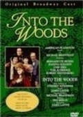 Into the Woods film from James Lapine filmography.