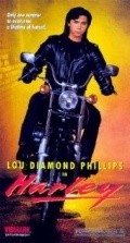 Harley - movie with Lu Dayemond Fillips.