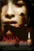 Agua Dulce - movie with Carlos Gomez.