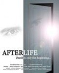 AfterLife is the best movie in Ted Johnson filmography.