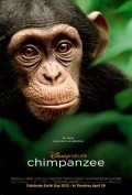 Chimpanzee - movie with Tim Allen.