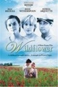 Wildflower is the best movie in Angel Risin filmography.