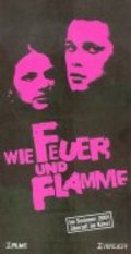 Wie Feuer und Flamme is the best movie in Michael Krabbe filmography.