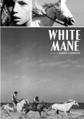 Film Crin blanc: Le cheval sauvage.
