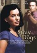 Stray Dogs - movie with Bill Sage.