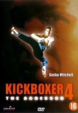 Kickboxer 4: The Aggressor film from Albert Pyun filmography.