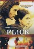 Flick film from Fintan Connolly filmography.