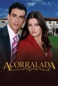 Acorralada is the best movie in Roberto Mateos filmography.