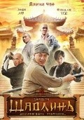 Xin shao lin si film from Benny Chan filmography.