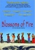 Blossoms of Fire film from Maureen Gosling filmography.