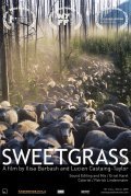 Film Sweetgrass.