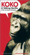 Film Koko, le gorille qui parle.