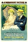 Big Timber film from William Desmond Taylor filmography.