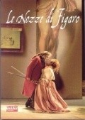 Le nozze di Figaro is the best movie in Luca Pisaroni filmography.