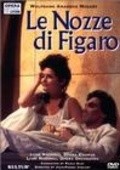 Le nozze di Figaro film from Mate Rabinovski filmography.