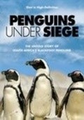 Film Penguins Under Siege.