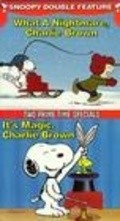 Animation movie What a Nightmare, Charlie Brown!.
