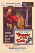 Track of the Cat film from William A. Wellman filmography.