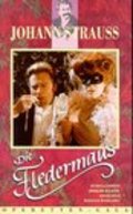 Die Fledermaus is the best movie in Erich Kunz filmography.