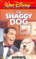 The Shaggy Dog - movie with Tim Considine.