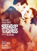 Splendor in the Grass film from Elia Kazan filmography.