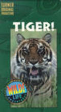 Tiger! - movie with Sarita Choudhury.