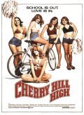 Cherry Hill High film from Alex E. Goitein filmography.